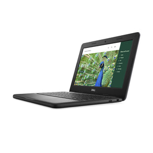 DELL Chromebook 3120 Intel® N N100 29.5 cm (11.6") HD 4 GB LPDDR5-SDRAM 64 GB Flash Wi-Fi 6 (802.11ax) ChromeOS US English Black (51R7C) - Cartouches Certifiees