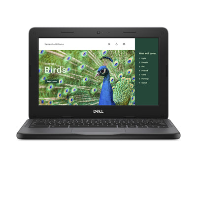 DELL Chromebook 3120 Intel® N N100 29.5 cm (11.6") Touchscreen HD 8 GB 64 GB Flash Wi-Fi 6 (802.11ax) ChromeOS Black (YG2M1) - Cartouches Certifiees