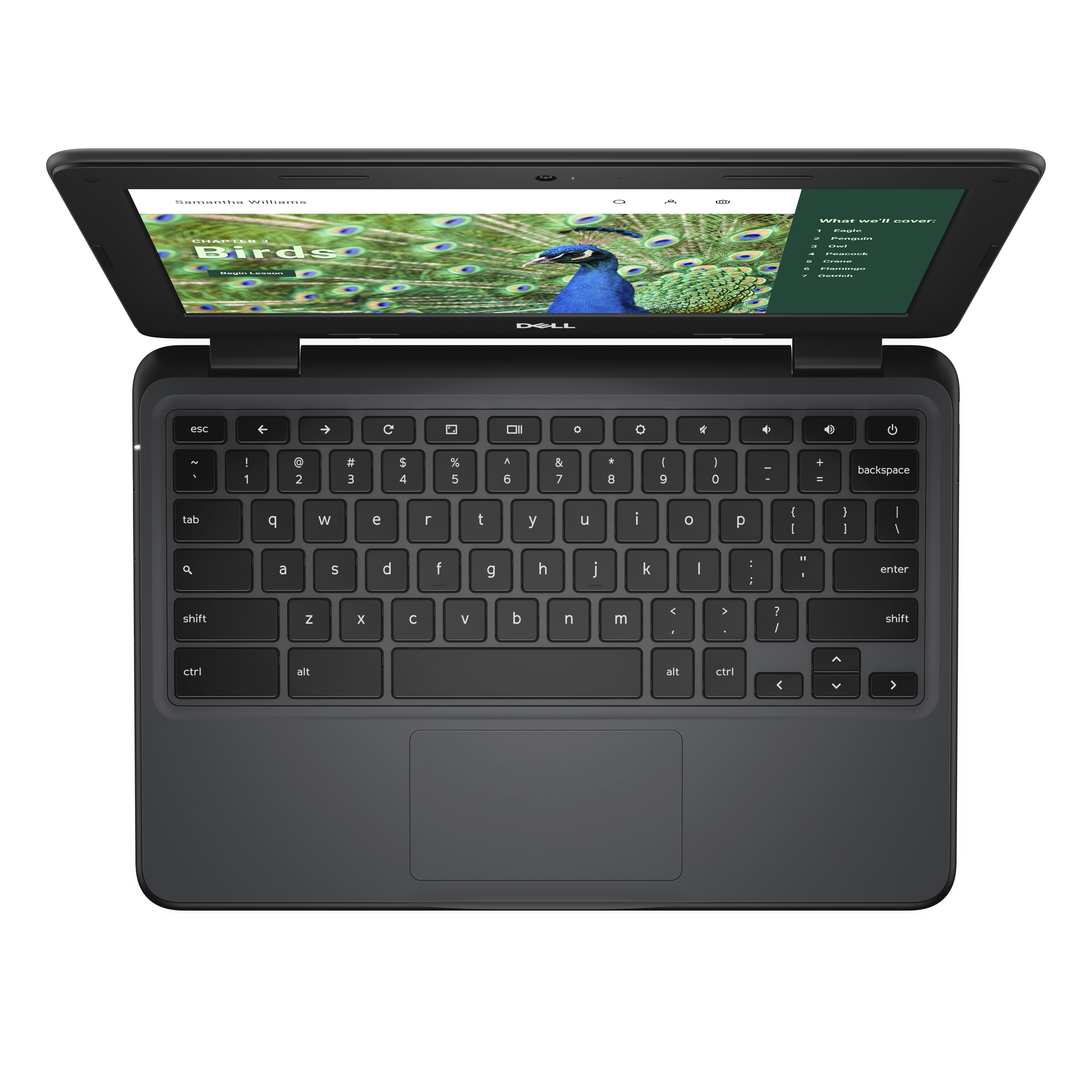 DELL Chromebook 3120 Intel® N N100 29.5 cm (11.6") Touchscreen HD 8 GB 64 GB Flash Wi-Fi 6 (802.11ax) ChromeOS Black (YG2M1) - Cartouches Certifiees