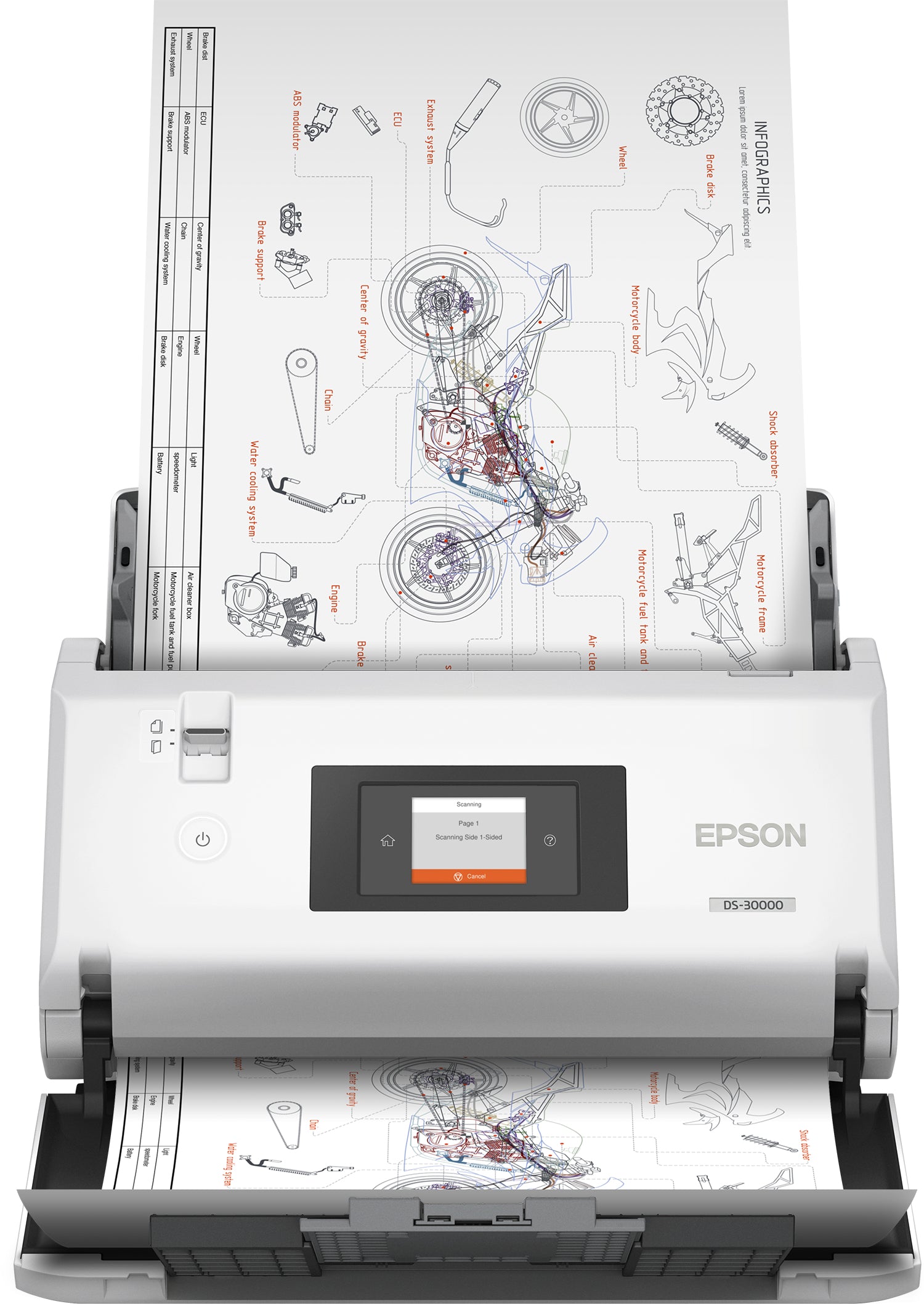EPSON DS-30000 Sheet-fed scanner 600 x 600 DPI A3 White (B11B256201) - Cartouches Certifiees