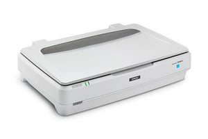 EPSON Expression 13000XL Flatbed scanner 2400 x 4800 DPI A3 White (B11B257201) - Cartouches Certifiees