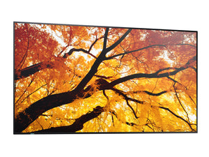 SHARP ELECTRONICS Sharp MultiSync 189.2 cm (74.5") LED 550 cd/m² 4K Ultra HD Black 24/7 (PN-M752) - Cartouches Certifiees