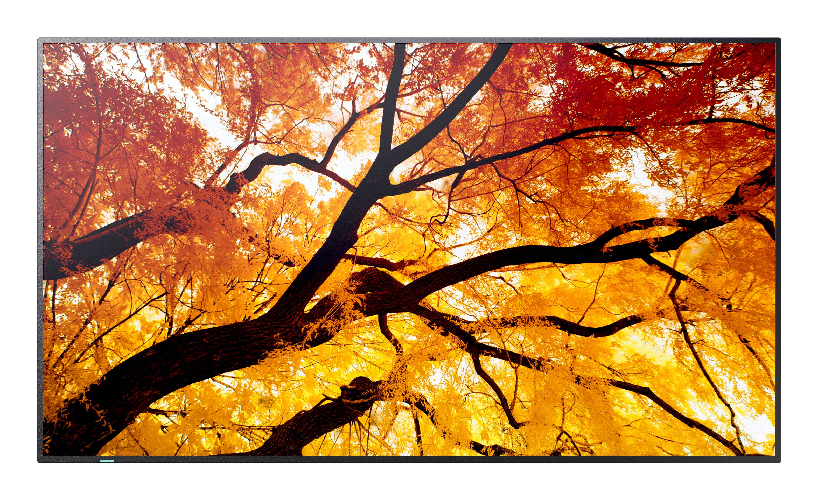 SHARP ELECTRONICS Sharp MultiSync Interactive flat panel 2.48 m (97.5") LED 550 cd/m² 4K Ultra HD Black 24/7 (PN-M982) - Cartouches Certifiees
