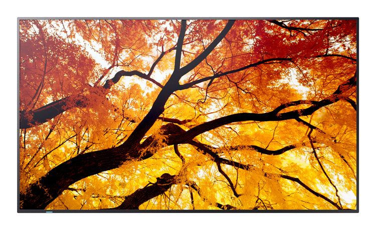 SHARP ELECTRONICS Sharp MultiSync Interactive flat panel 2.48 m (97.5") LED 550 cd/m² 4K Ultra HD Black 24/7 (PN-M982) - Cartouches Certifiees