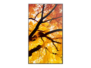 SHARP ELECTRONICS Sharp MultiSync Interactive flat panel 2.48 m (97.5") LED 550 cd/m² 4K Ultra HD Black 24/7 (PN-M982) - Cartouches Certifiees