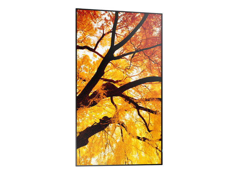 SHARP ELECTRONICS Sharp MultiSync Interactive flat panel 2.48 m (97.5") LED 550 cd/m² 4K Ultra HD Black 24/7 (PN-M982) - Cartouches Certifiees