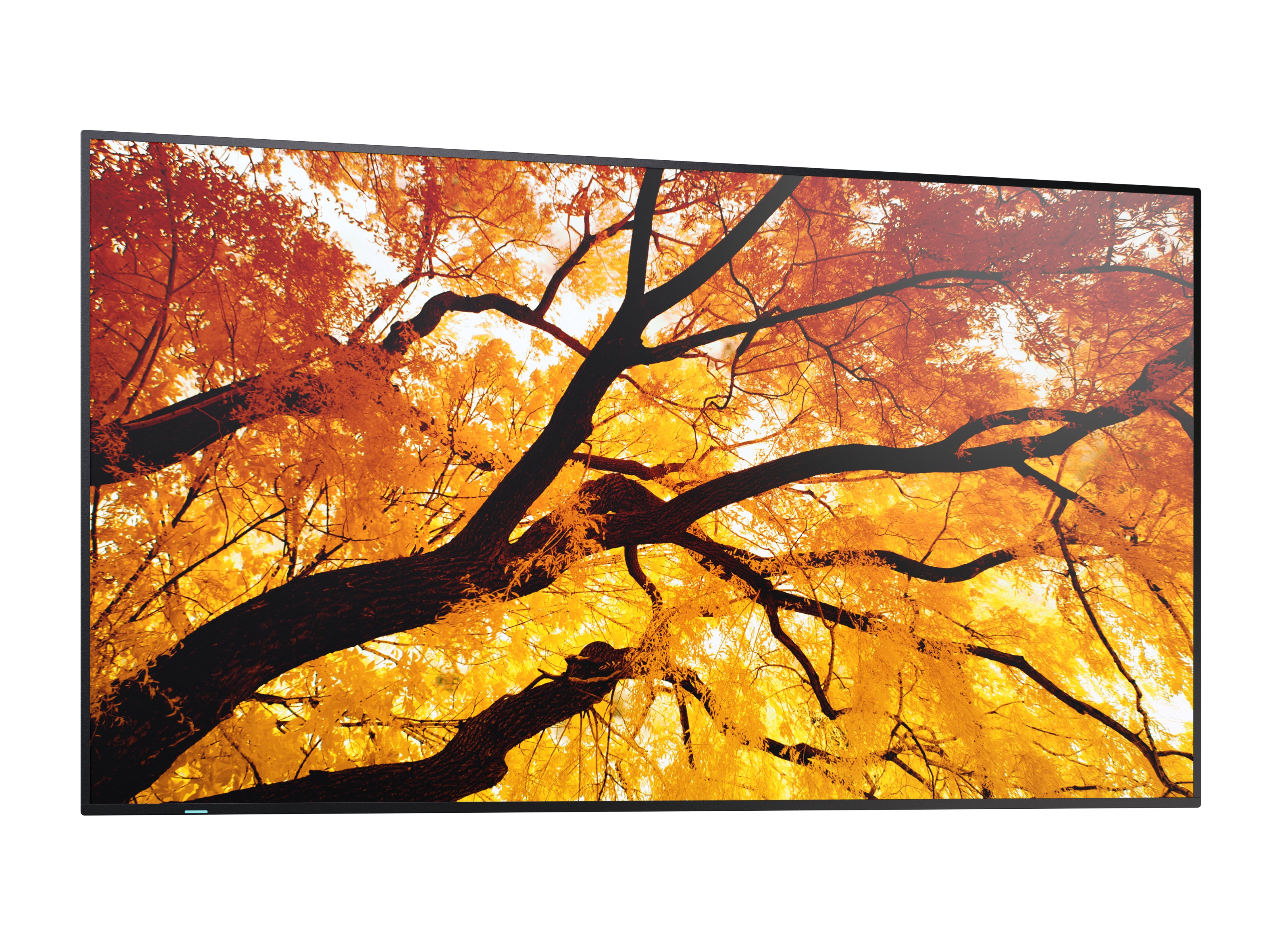 SHARP ELECTRONICS Sharp MultiSync M322 Digital signage flat panel 81.3 cm (32") LCD 550 cd/m² Full HD Black (PN-M322) - Cartouches Certifiees