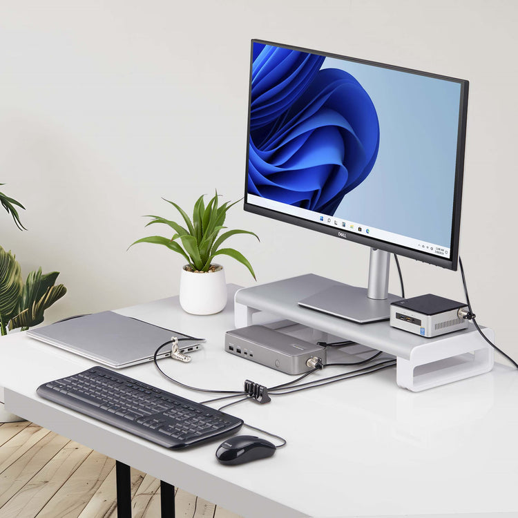 STARTECH .com cable organizer Desk Cable holder Black (CABLE-ORGANIZER-LOCK) - Cartouches Certifiees
