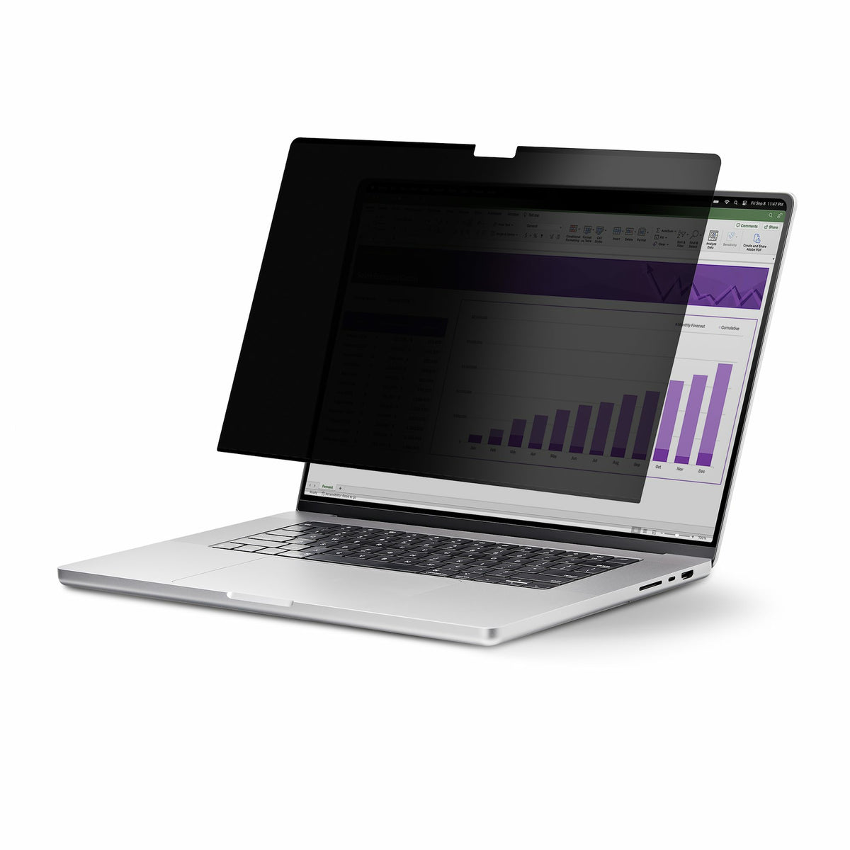 STARTECH .com display privacy filters 43,2 cm (17") Laptop Frameless display privacy filter (17TF6-PRIVACY-SCREEN) - Cartouches Certifiees