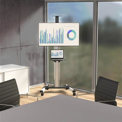 STARTECH .com signage display mount 190,5 cm (75") Black, Stainless steel (STNDMTV70) - Cartouches Certifiees
